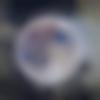 Single Male - Vraj