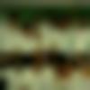 Single Male - Hariprakash