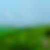woman seeking men Roorkee near me photo - Riya