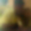 woman seeking men Ichalkaranji near me photo - Trupti