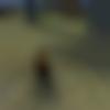 Single Male - Paresh