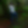Renigunta Male Photo - Swapnil