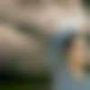 Single Male - Kaleem