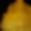Female Photo - Sarnomoay