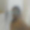 Male Photo - Nedhan