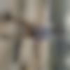 Single Male - Vicky