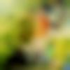 Dalli Rajhara Male Photo - Vikram