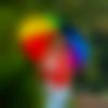 woman seeking men Allagadda near me photo - Nicky
