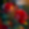 woman seeking men Shahjahanpur near me photo - Divya