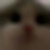 woman seeking men Amalner near me photo - Misti