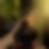 Male Photo - Ansh