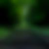 Male Photo - Hpkool