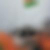 woman seeking men Gola Gokarannath near me photo - Neha