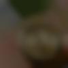 Single Female - Shivangi