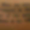 Single Male - Bablu