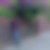 Single Male - Jaydeep