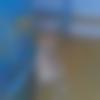 woman seeking men Thiruvallur near me photo - Swathiprasanth