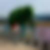 Single Male - Bidhanmondal74