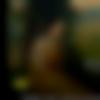 woman seeking men Bagaha near me photo - Lakmi