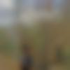 Female Photo - Priti