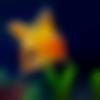 woman seeking men Palladam near me photo - Kayuu