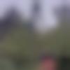 Tripuri Dating Male - Vijay