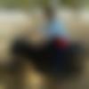 Single Male - Saheb