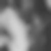 woman seeking men Dungarpur near me photo - Asthasingh11