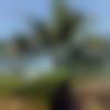 Lepcha Dating Female - Asmita