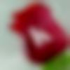 woman seeking men Washim near me photo - Kokila
