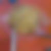 woman seeking men Chotila near me photo - Urmila