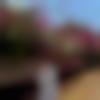 woman seeking men Chandrapur near me photo - Stuti