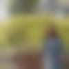 woman seeking men Jashpur Nagar near me photo - Rose