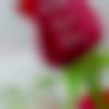 Single Female - Madhumita