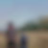Single Male - Divyanshu