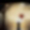 Single Female - Haryanvi