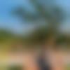 woman seeking men Harda near me photo - Chiku
