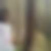 Single Male - Mukesh