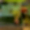 Single Male - Shaurya
