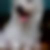 woman seeking men Sivakasi near me photo - Charu