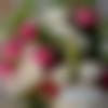 woman seeking men Kishangarh near me photo - Aisha