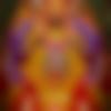 Medak Male Photo - Manjunath