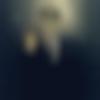 Male Photo - Vr802