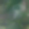 Male Photo - Rakshith