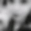woman seeking men Gadarwara near me photo - Sneha