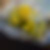Male Photo - Monu