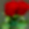 Male Photo - Abhi