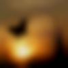 woman seeking men Nawanshahr near me photo - Manviii