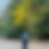 Single Male - Vishjeet