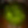 woman seeking men Thuraiyur near me photo - Santhi